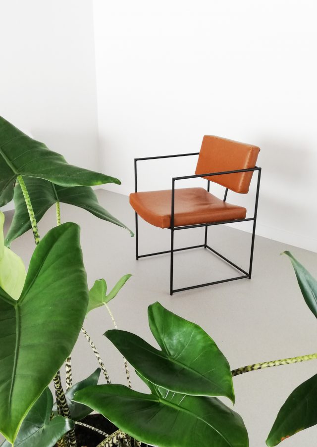 lederen stoelen project evolution design meubelen
