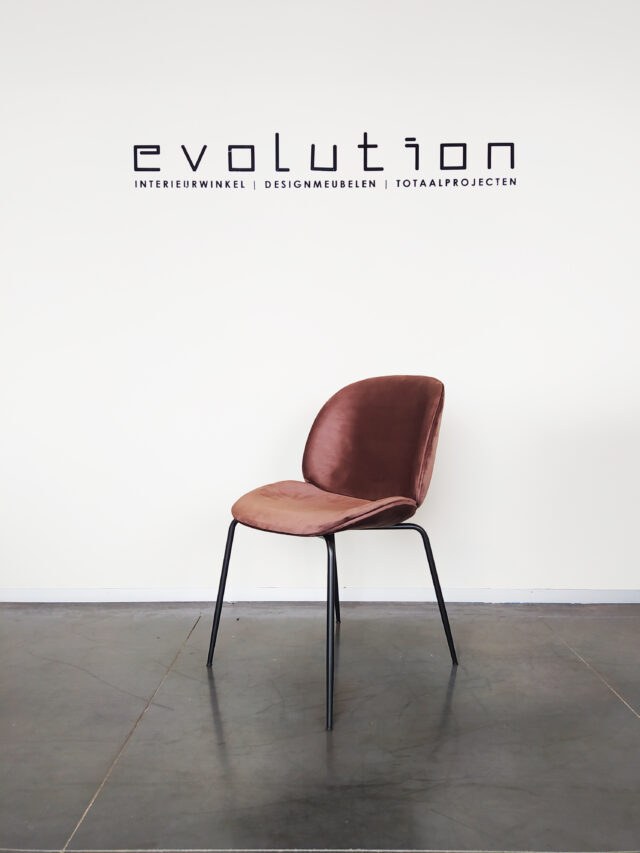 Evolution-hasselt-interieurwinkel-meubelen-design-stoelen-elliot-velvet-chair