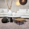 Evolution-Interieurwinkel-Totaalprojecten-Design meubels-Design zetels-Hoeksofa-Hasselt